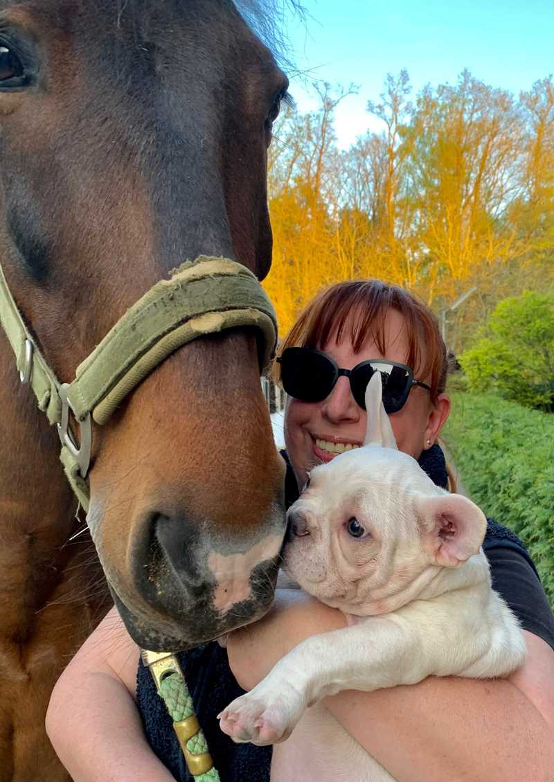 Hund und Pferd 4
