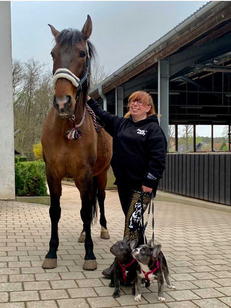 Hund und Pferd 11