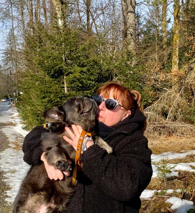 Hunde auf Reisen 6