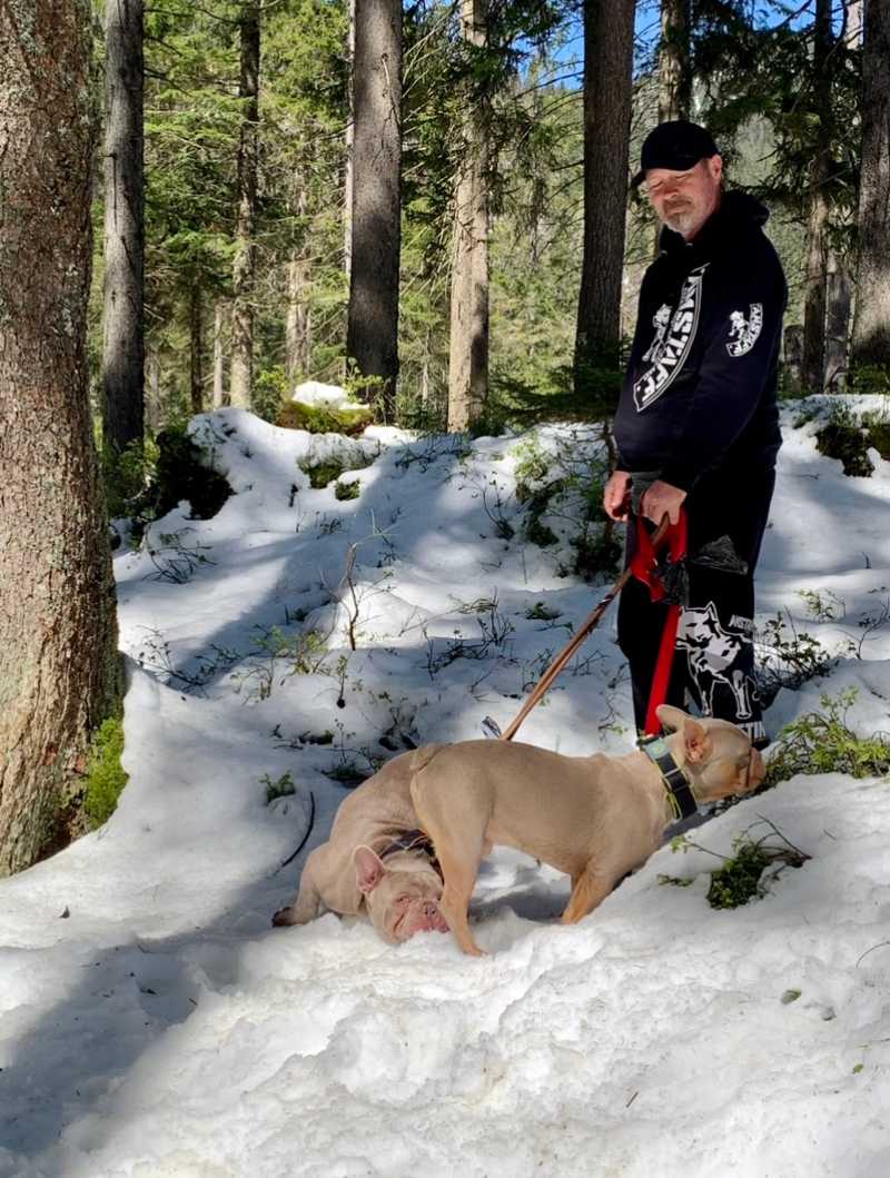 Hunde auf Reisen 12