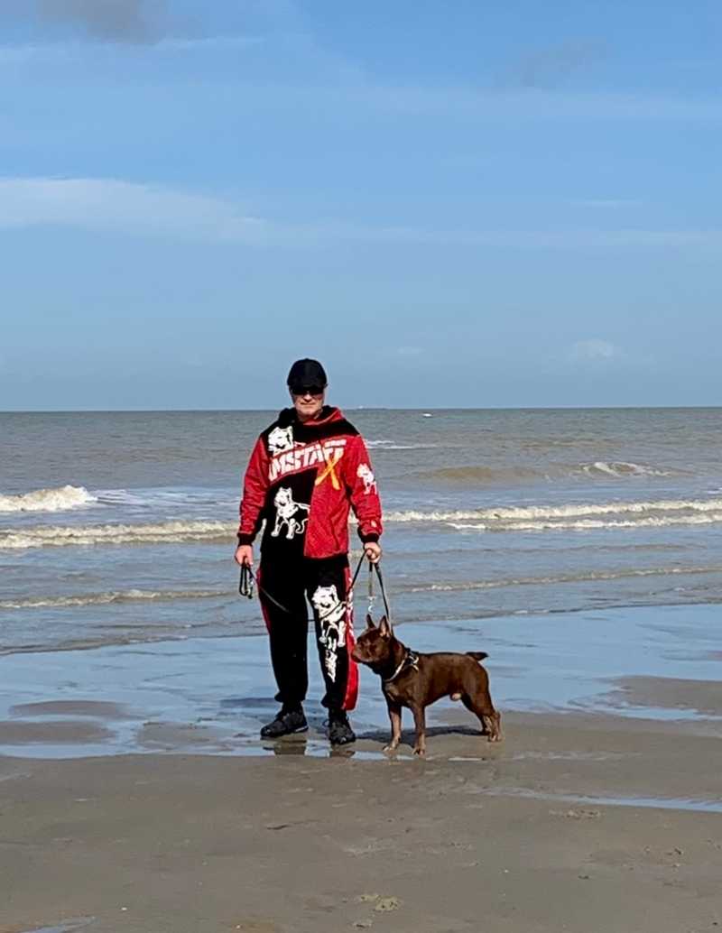 Hunde auf Reisen 3