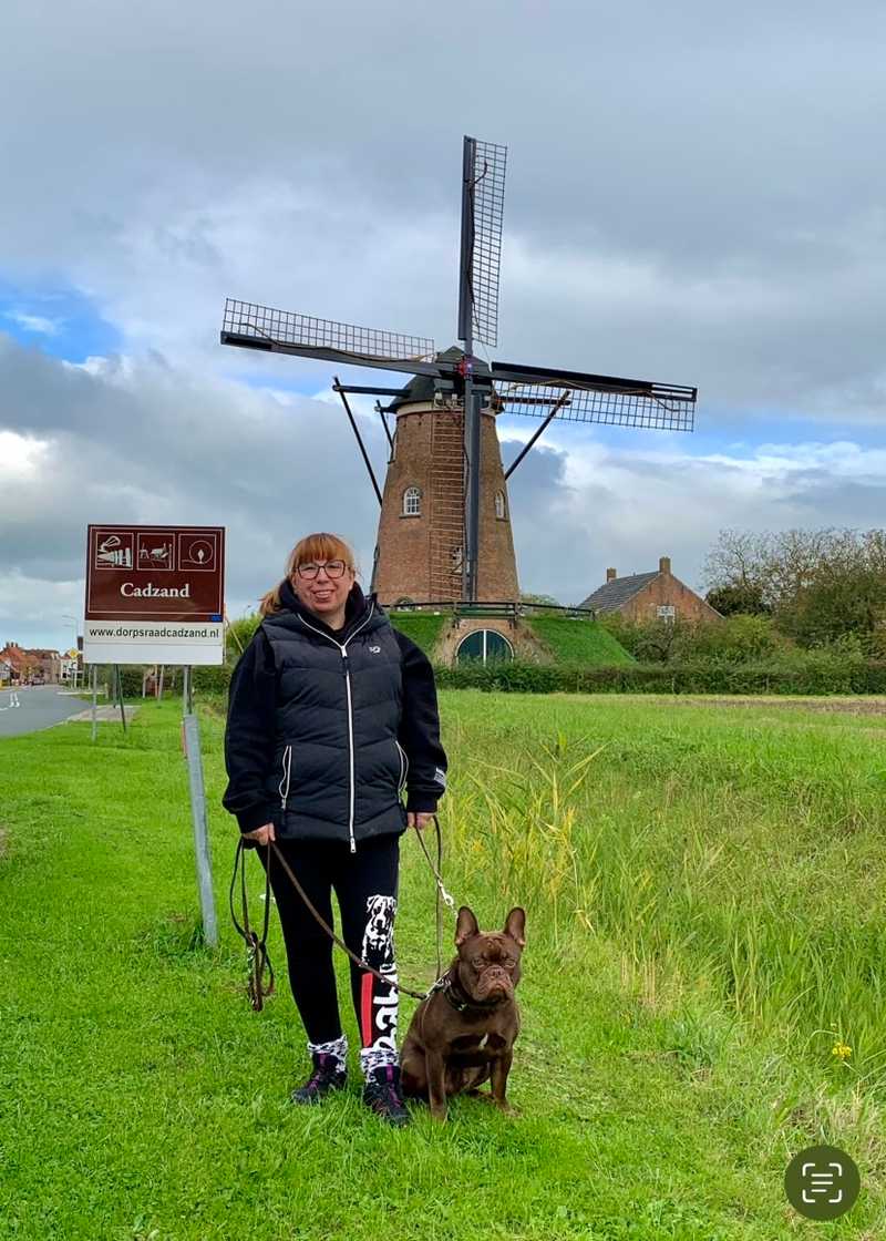 Hunde auf Reisen 4
